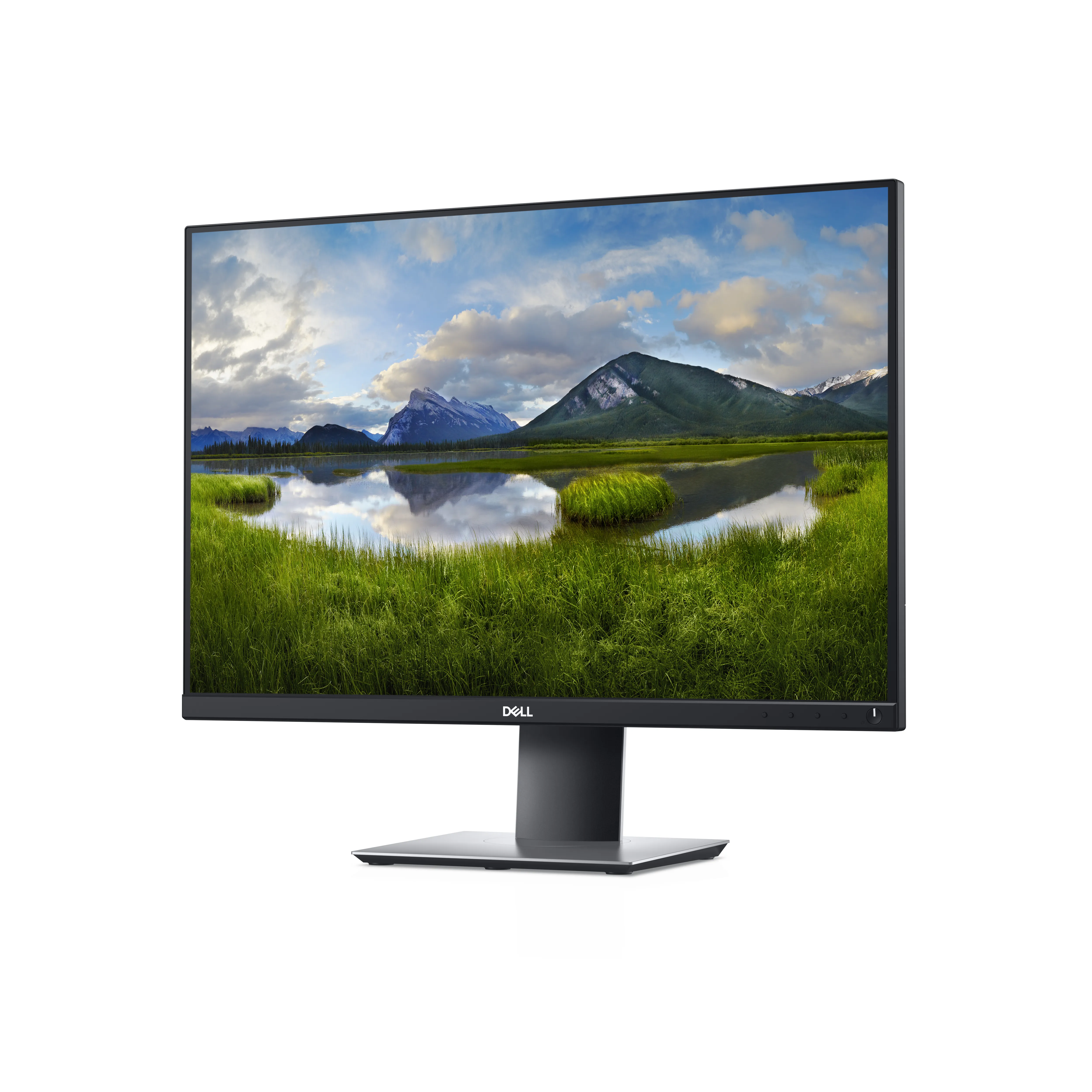 Dell P2421 24" WUXGA, IPS - monitor