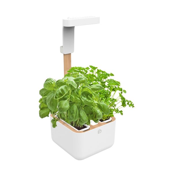 VERITABLE Botaneo Eylo Smart Indoor Garden, White