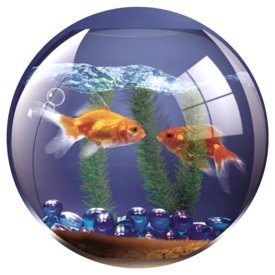 FELLOWES Brite mousepad with fish bowl