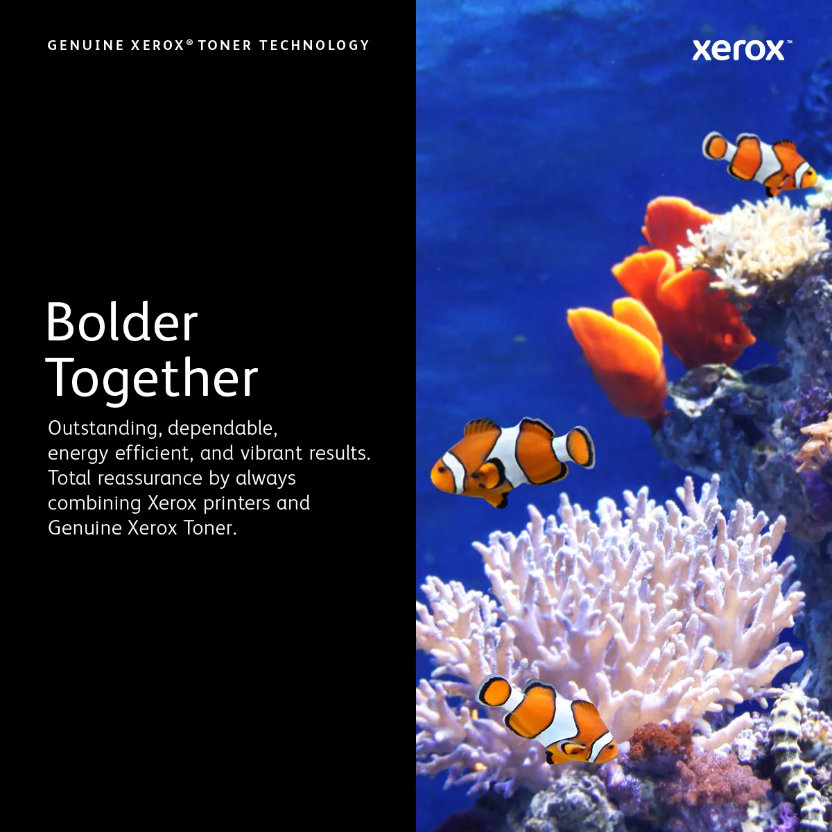 Phaser 3435 toner black 10K