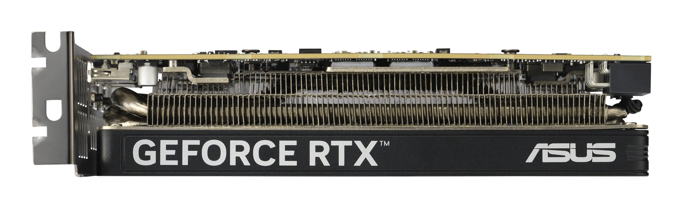 Asus GeForce RTX 5060 Dual OC Low Profile 8GB - Graphics card