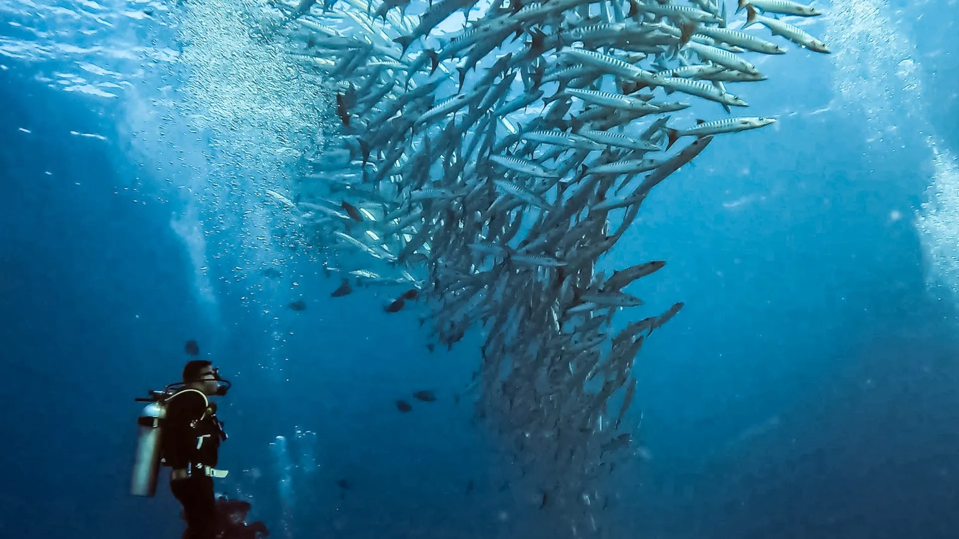 GoPro Protective Housing HERO9 Black