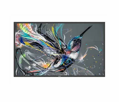 65&quot; D-LED ECO-design 4K Display And