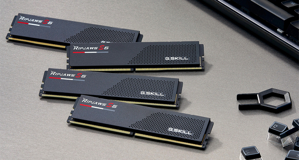 G.SKILL Ripjaws S5 32GB (2 x 16GB) DDR5 5600 MHz, CL36 Memory (XMP)