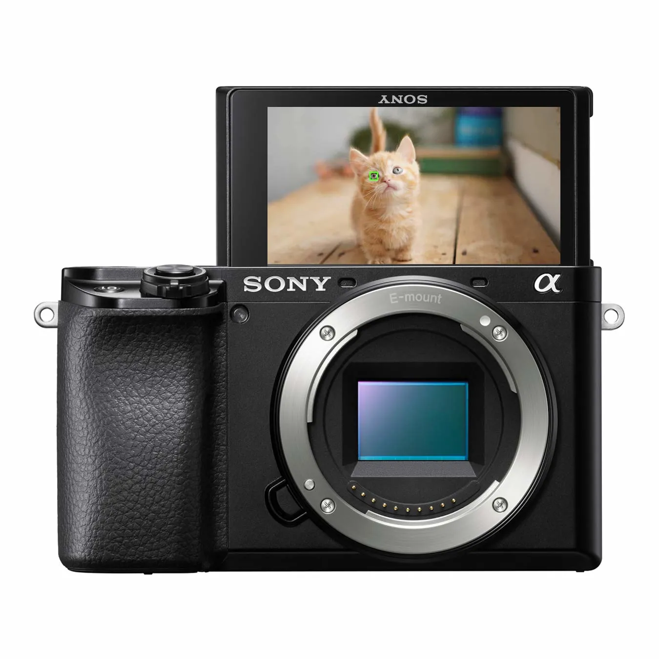 SONY A6100 16-50 kit ILCE-6100LB