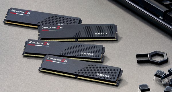 G.SKILL Ripjaws S5 32GB (2 x 16GB) DDR5 5600 MHz, CL36 Memory (XMP)