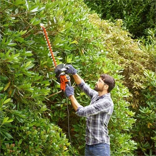 BLACK+DECKER BEHTS451-QS Electric Hedge Trimmer, 550 W, 600 mm, 25 mm, Black/Orange