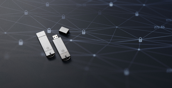 Kingston IronKey S1000 Enterprise USB 3.2 Gen 1 4GB memory stick, Silver