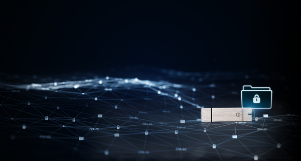 Kingston IronKey S1000 Enterprise USB 3.2 Gen 1 4GB memory stick, Silver