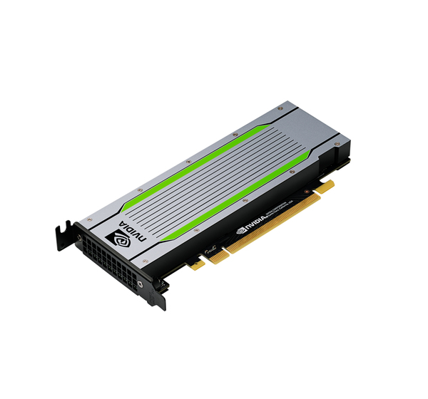 NVIDIA Tesla T4 - GPU computing processor - Tesla T4 - 16 Gt GDDR6 - PCIe 3.0 x16 matala profiili malleihin Edgeline e920, ProLiant DL325 Gen10, DL360 Gen10, DX