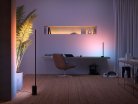 Philips HUE GRADIENT SIGNE FLOOR BLACK EU