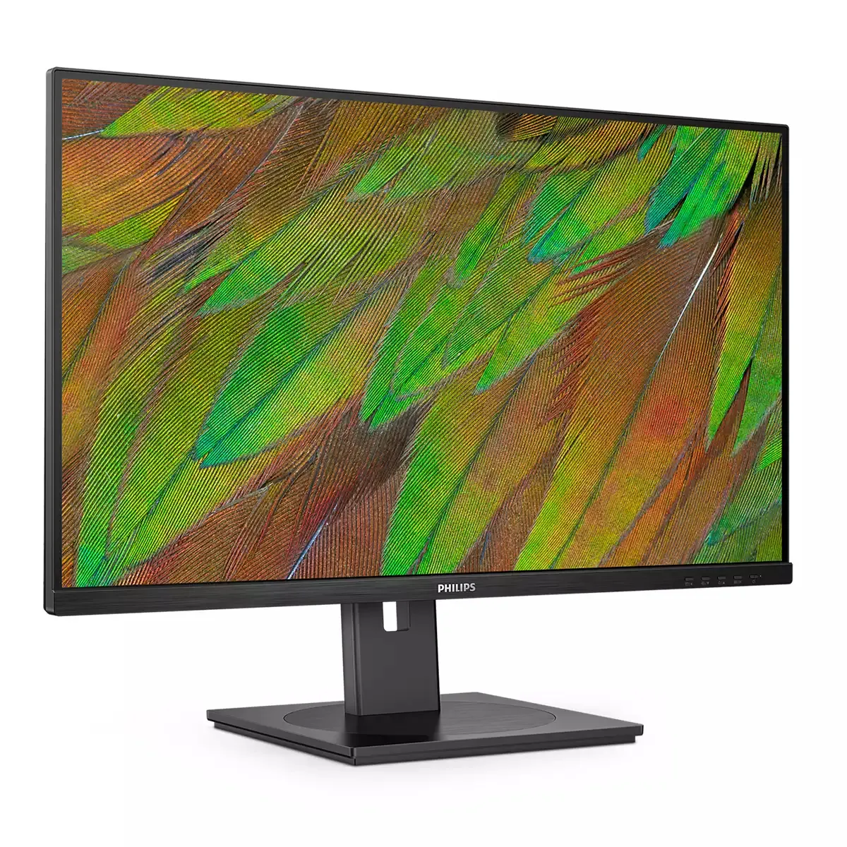 Philips 31.5" 32B1N3800. 4K Ultra HD, 60Hz, 4ms, VA - monitor