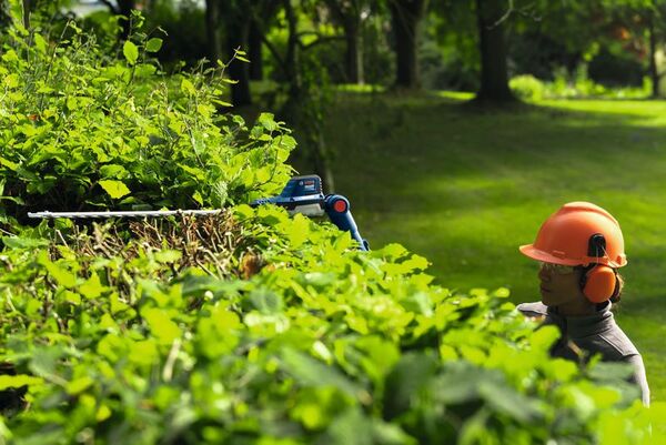 Bosch PRO 18V-50F Cordless Hedge Trimmer, without battery or charger