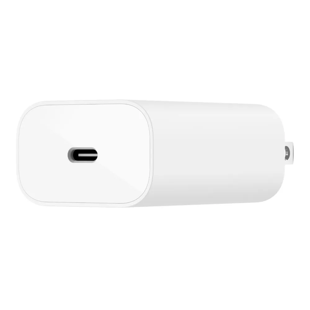 Belkin 25W PD PPS Wall Charger C-C Cable