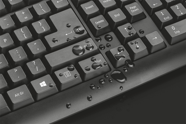 TRUST ND CLASSICLINE2 KEYBOARD - CLASSIC KEYBOARD NEW