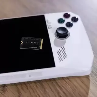 WD Black WD_BLACK SN770M NVMe 500 GB, PCIe 4.0, M.2 - SSD