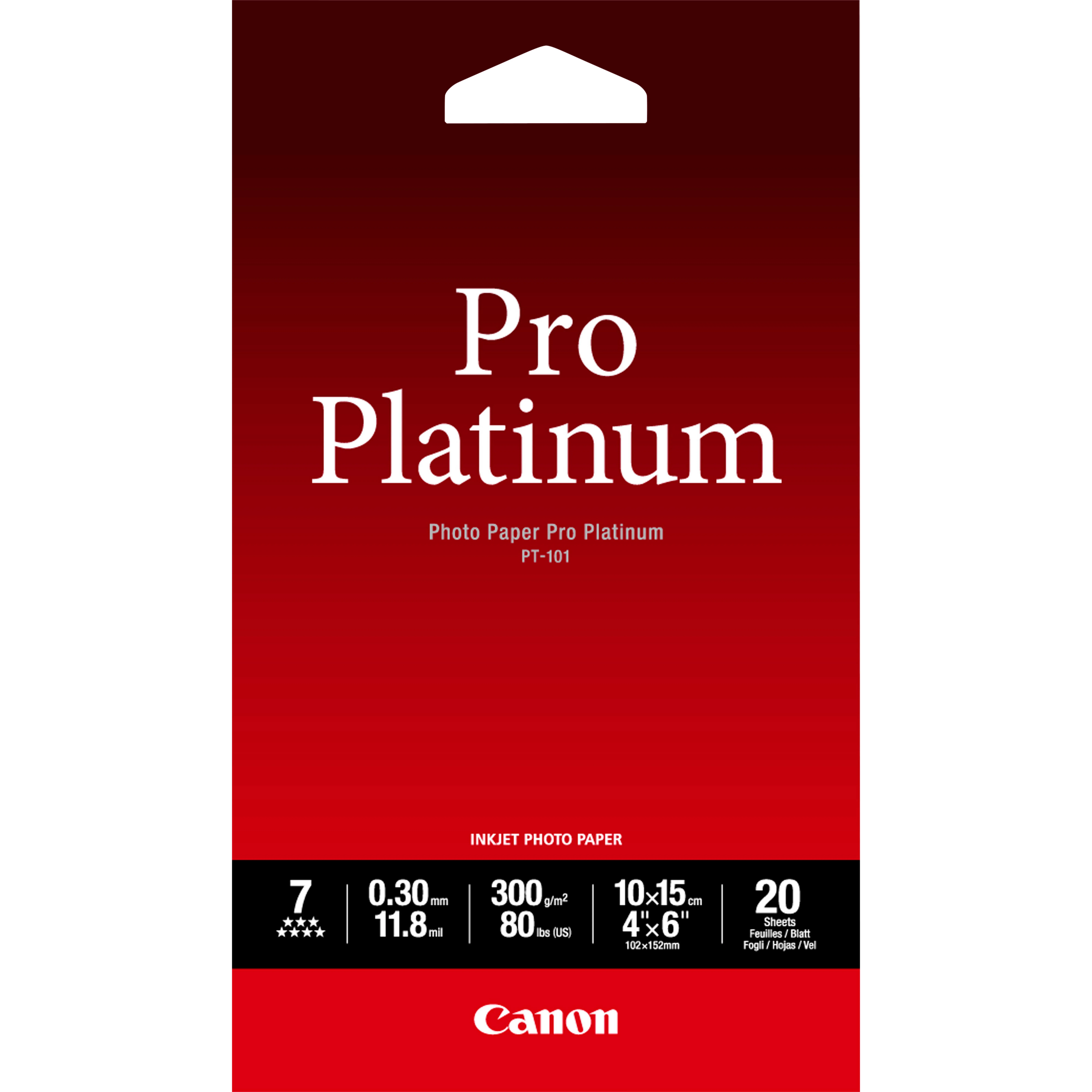 PT-101 Photo Paper Pro Platinum 300g (20)