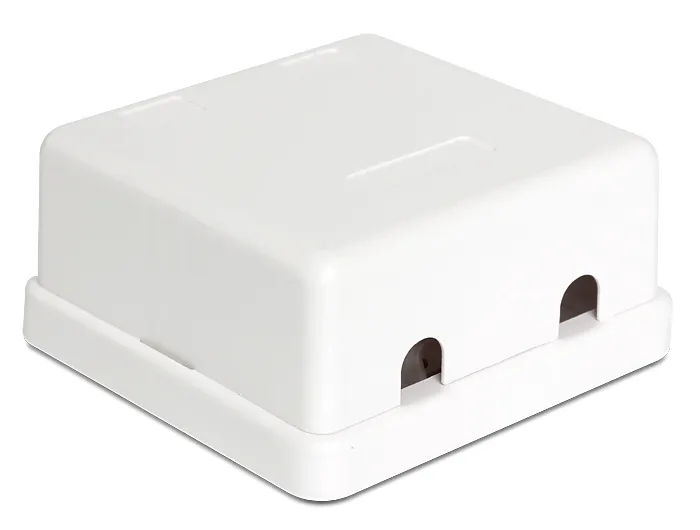Delock Keystone Surface Mounted Box 2 Port