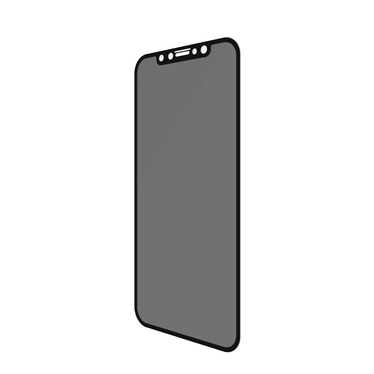 PanzerGlass Case Friendly, Privacy, iPhone XR - sk&auml;rmskydd