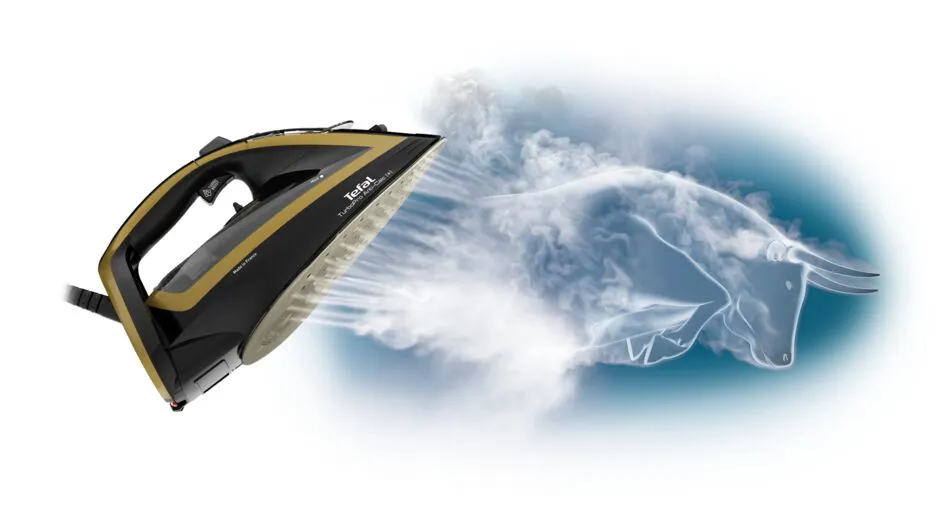 Tefal Steam iron FV 5696 - iron, black/gold, 3000 W