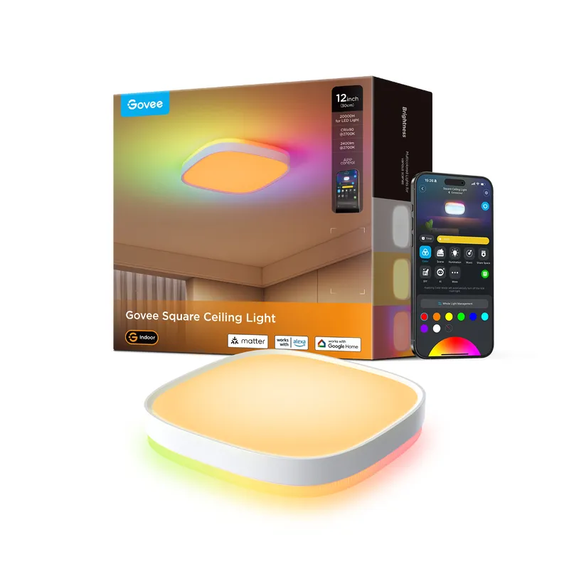 Govee H80A4C01 - Smart ceiling light