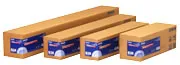 Epson Premium Glossy Photo Paper (170) - Kiilt&auml;v&auml; - Rulla (152,4 cm x 30,5 m) 1 rulla (rullat) valokuvapaperi malleihin Stylus Pro 11880, Stylus Office B1100, B