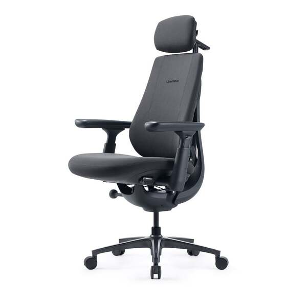 LiberNovo Maxis Pro (Airflow) Office Chair, Graphite