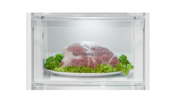 LG Refrigerator Free standing