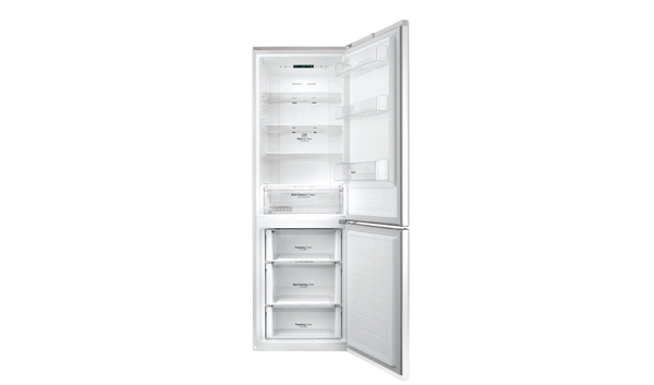 LG Refrigerator Free standing
