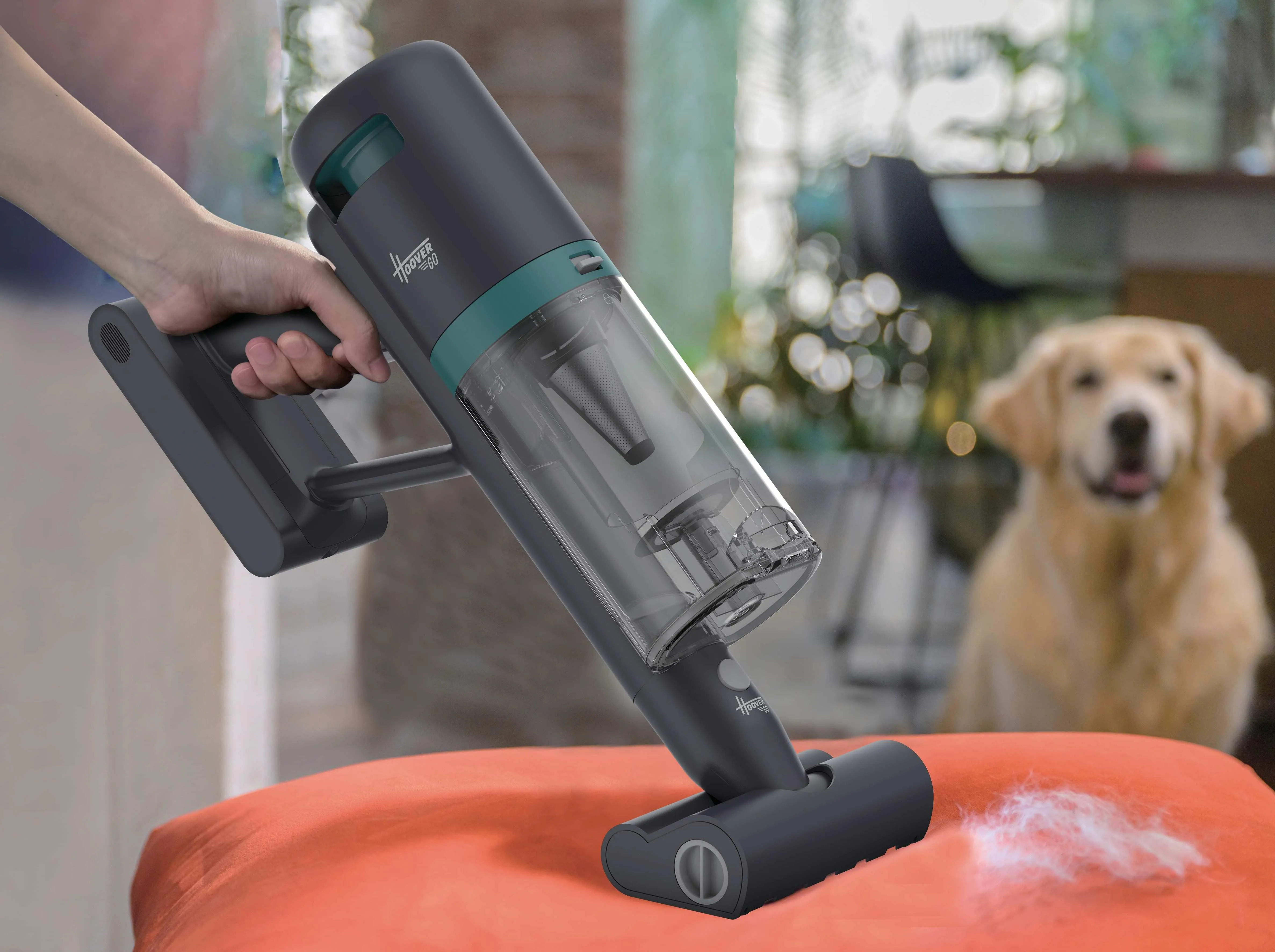Hoover Go Pet HFG10P 011 0.55L 200W Stick vacuum cleaner, Blue, Grey
