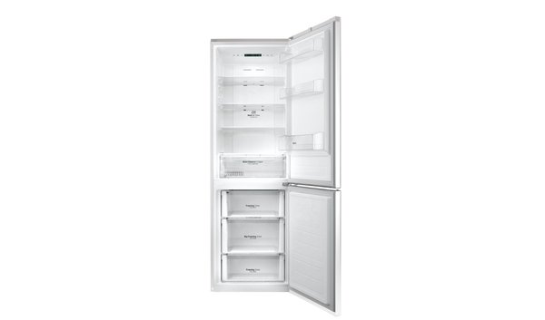 LG Refrigerator Free standing