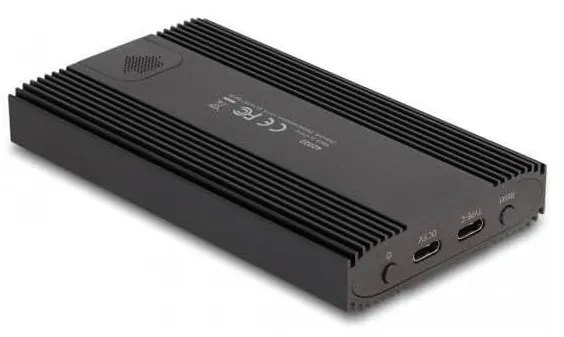 DeLock USB 3.2 Gen (2x2) 2x M.2 SSD - enclosure, Black