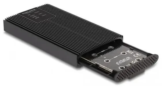 DeLock USB 3.2 Gen (2x2) 2x M.2 SSD - enclosure, Black