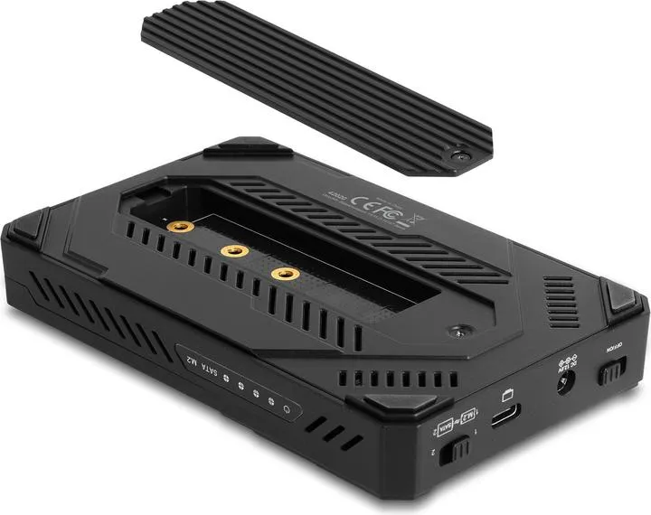 DeLock USB 3.2 Gen (2x2) 2x M.2 SSD - enclosure, Black