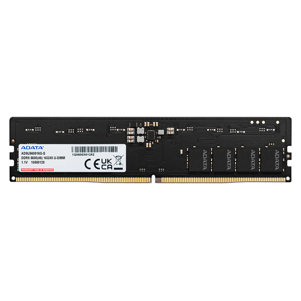 ADATA DDR5 5600 U-DIMM 8 Gt (1 x 8 Gt) DDR5 5600 MHz, 45 -muisti