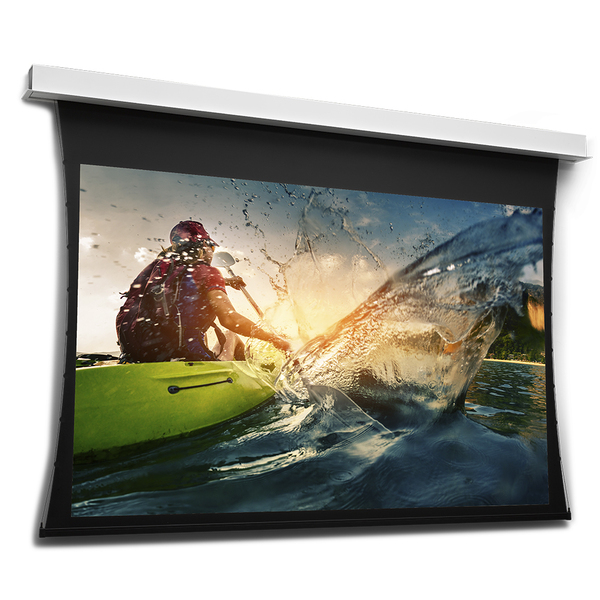 Projecta Screen Surface Assembly Tensioned DescenderPro WS 141x250 HD Progressive 0.9