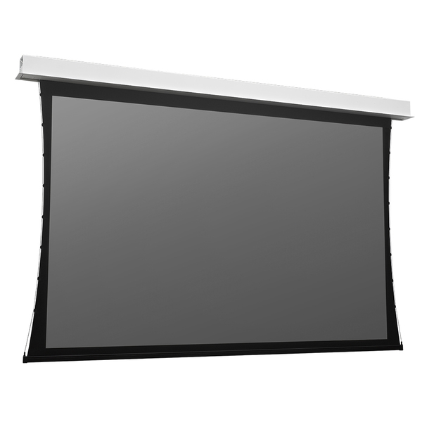 Projecta Screen Surface Assembly Tensioned DescenderPro WS 141x250 HD Progressive 0.9