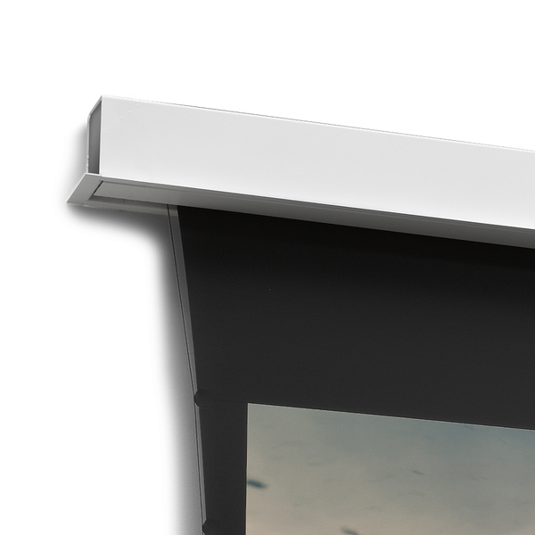 Projecta Screen Surface Assembly Tensioned DescenderPro WS 141x250 HD Progressive 0.9