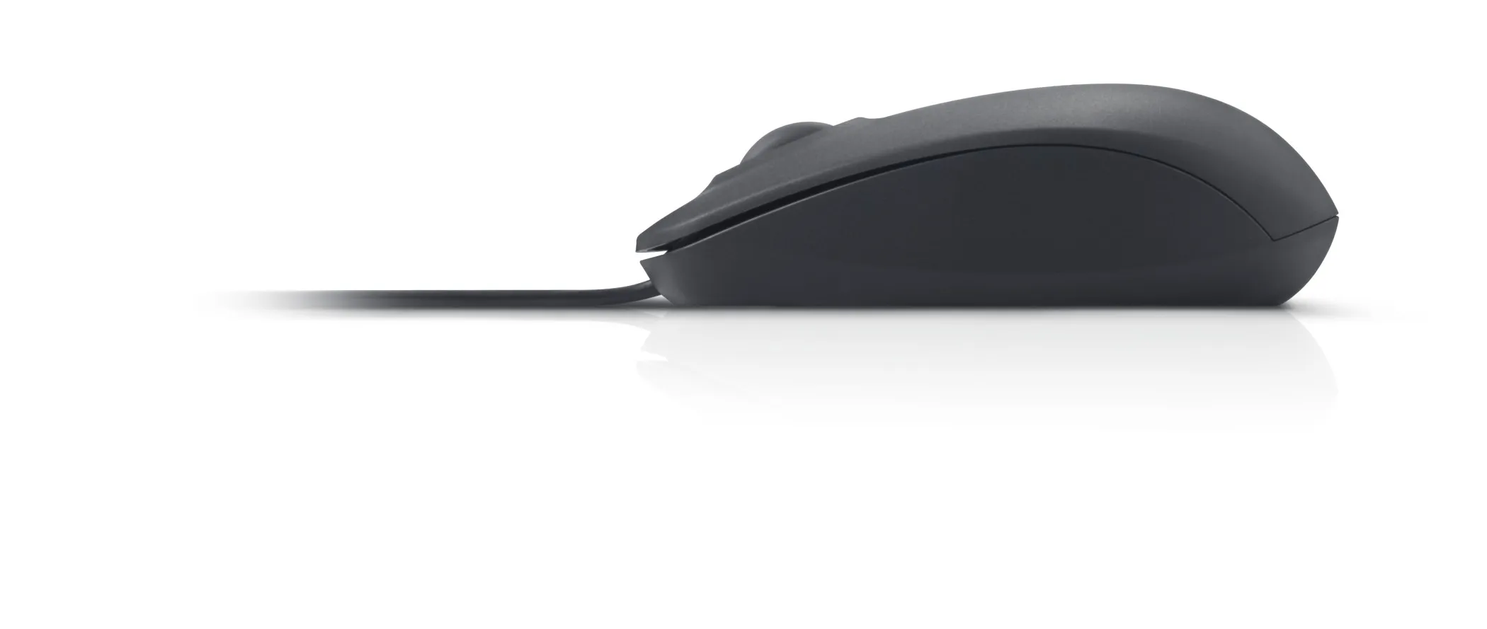 Dell USB Optical Mouse - MS111 - black - mus, Svart