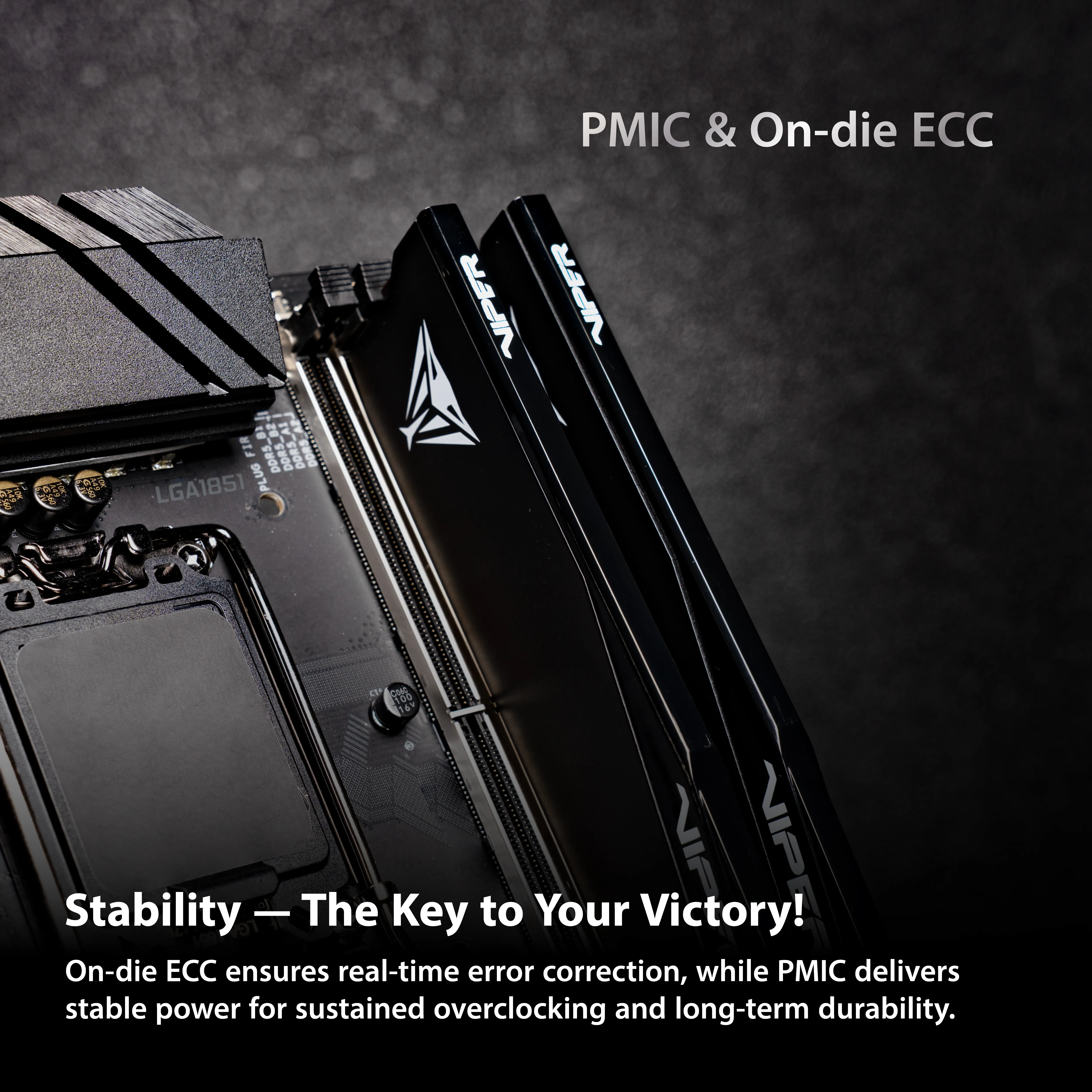 Patriot Viper Elite 5 32 GB (2 x 16 GB) DDR5 6000 MHz, CL28 minne, vit (XMP/EXPO)