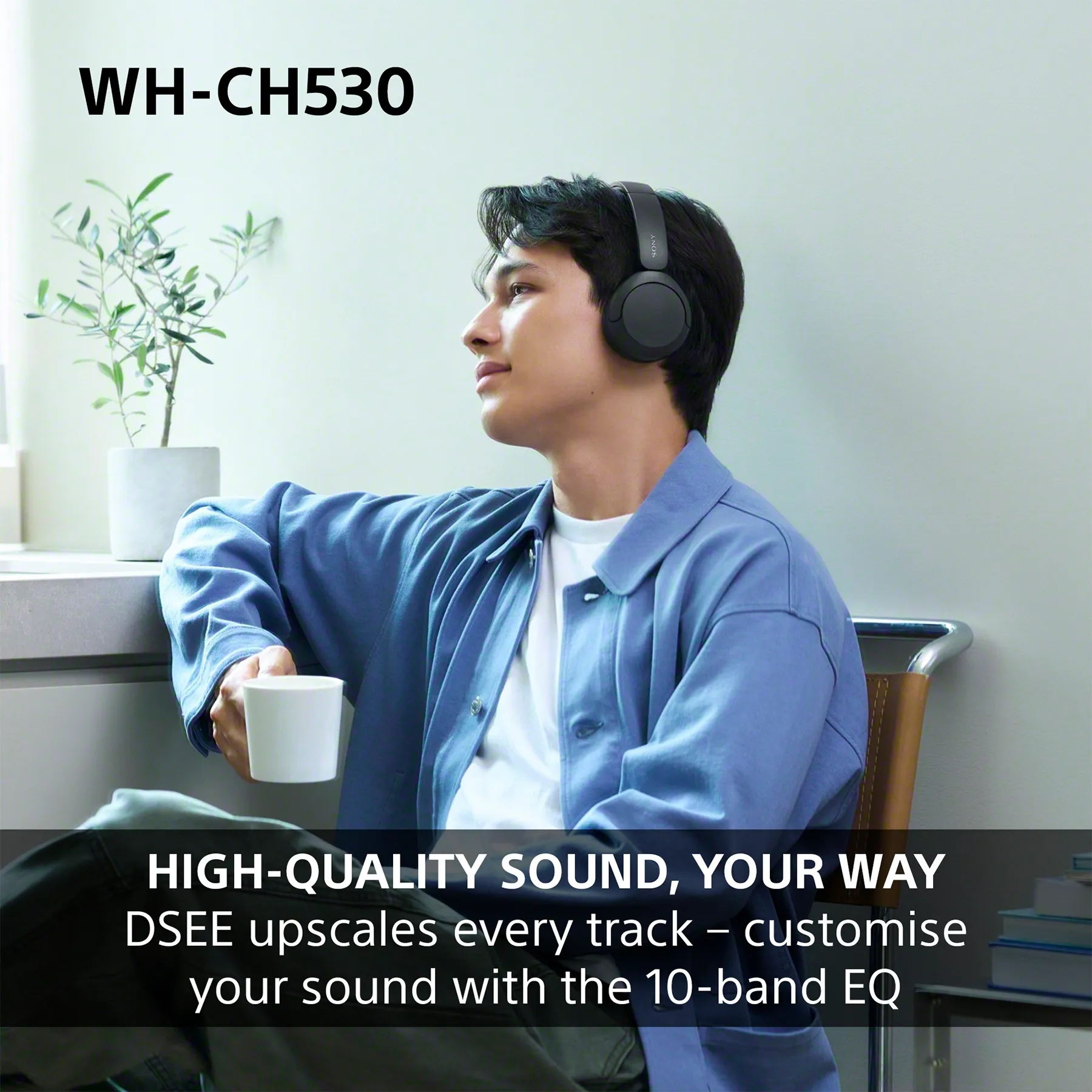 Sony WH-CH530 Wireless On-ear Headphones, Black