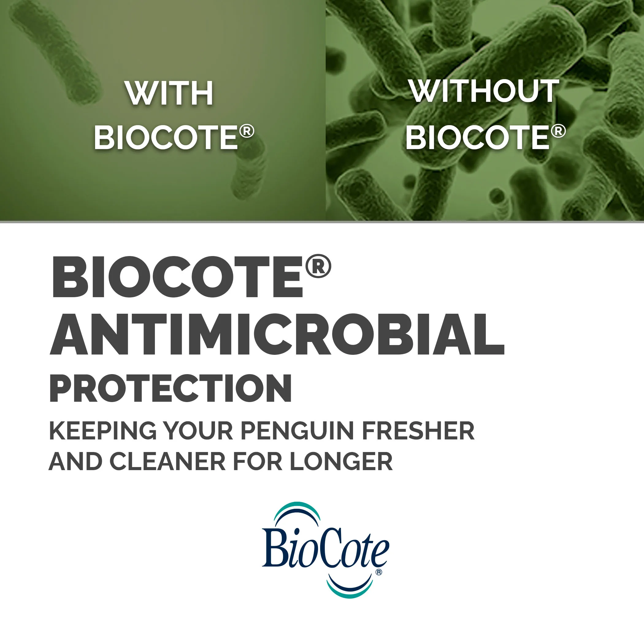 Fellowes Penguin Medium Wireless Ergonomic Mouse, Black