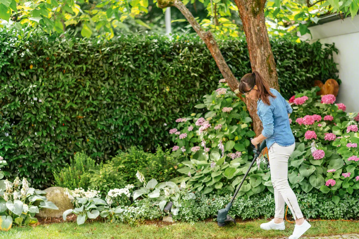Bosch EasyGrassCut 26 - electric grass trimmer