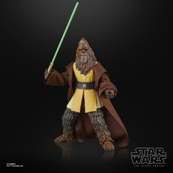 SW BL DLX FIG 1A