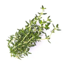VERITABLE Lingot Thyme BIO