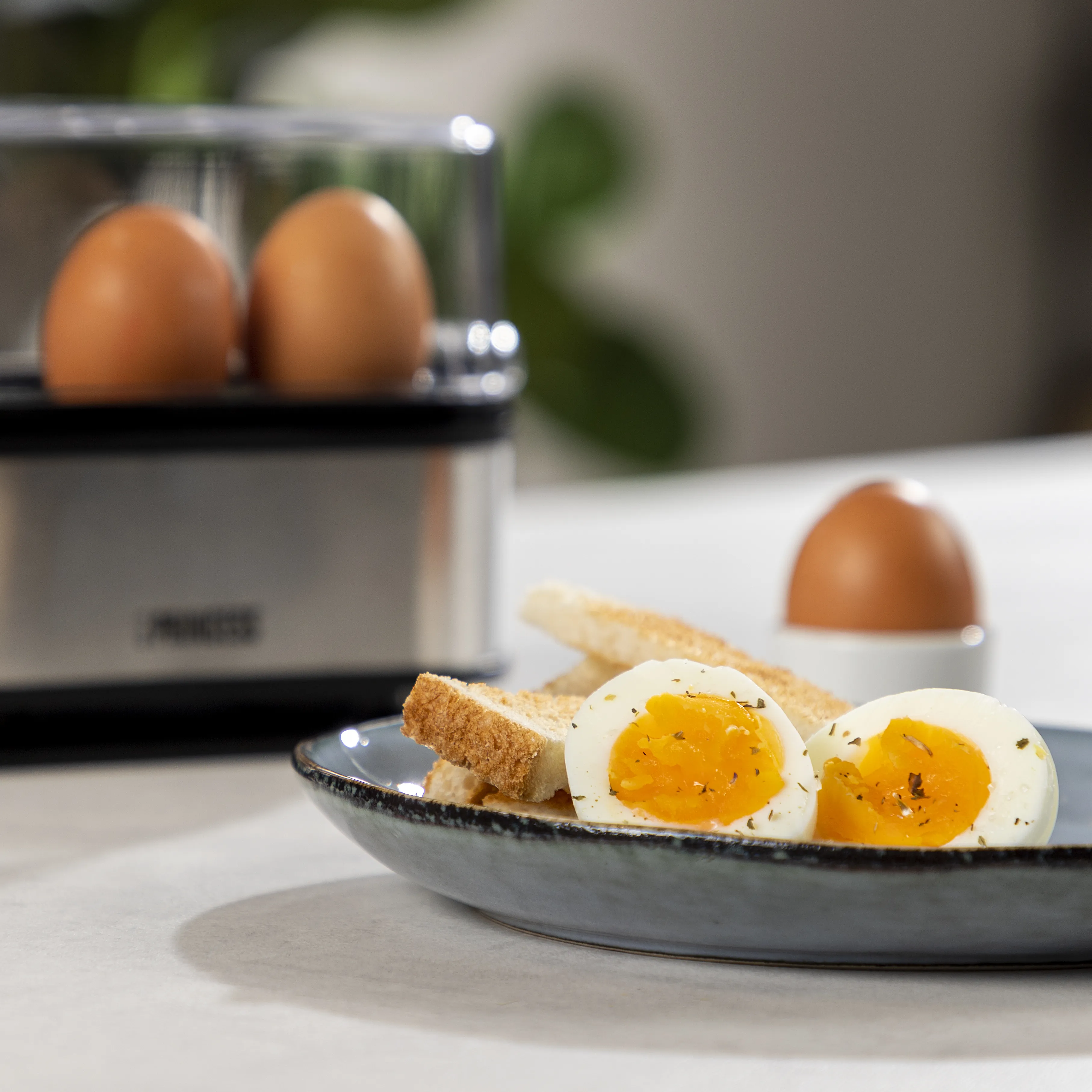 Princess 262046 Egg Cooker, 6 Eggs, 400 W, Black/Silver