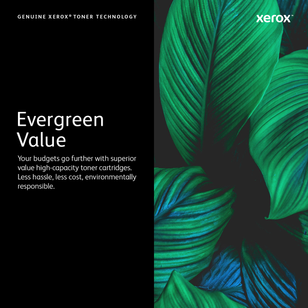 Xerox 106R01317 Suurikapasiteettinen -laserv&auml;rikasetti, syaani