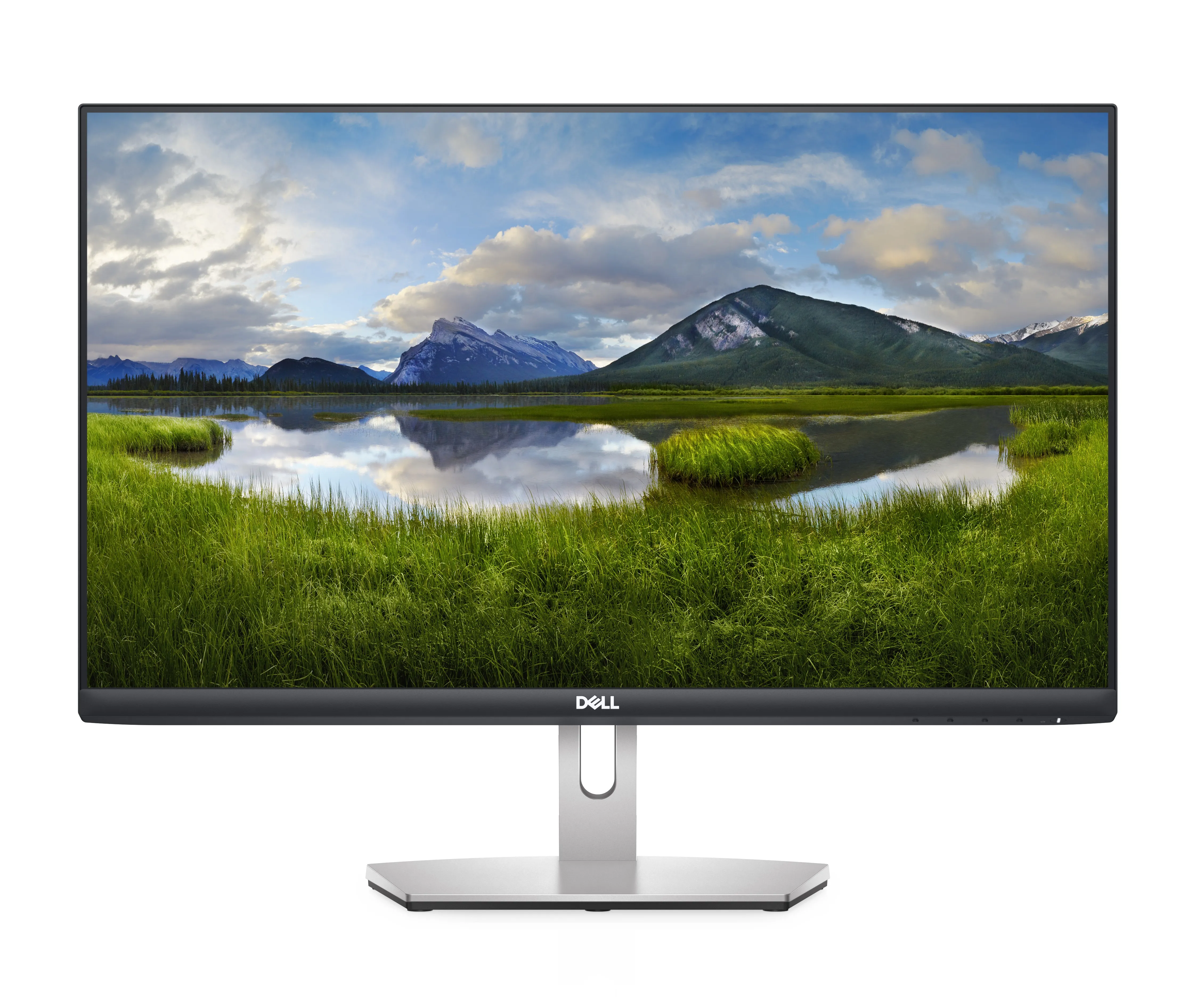 Dell S2421HN 23.8" Full HD, IPS Monitor