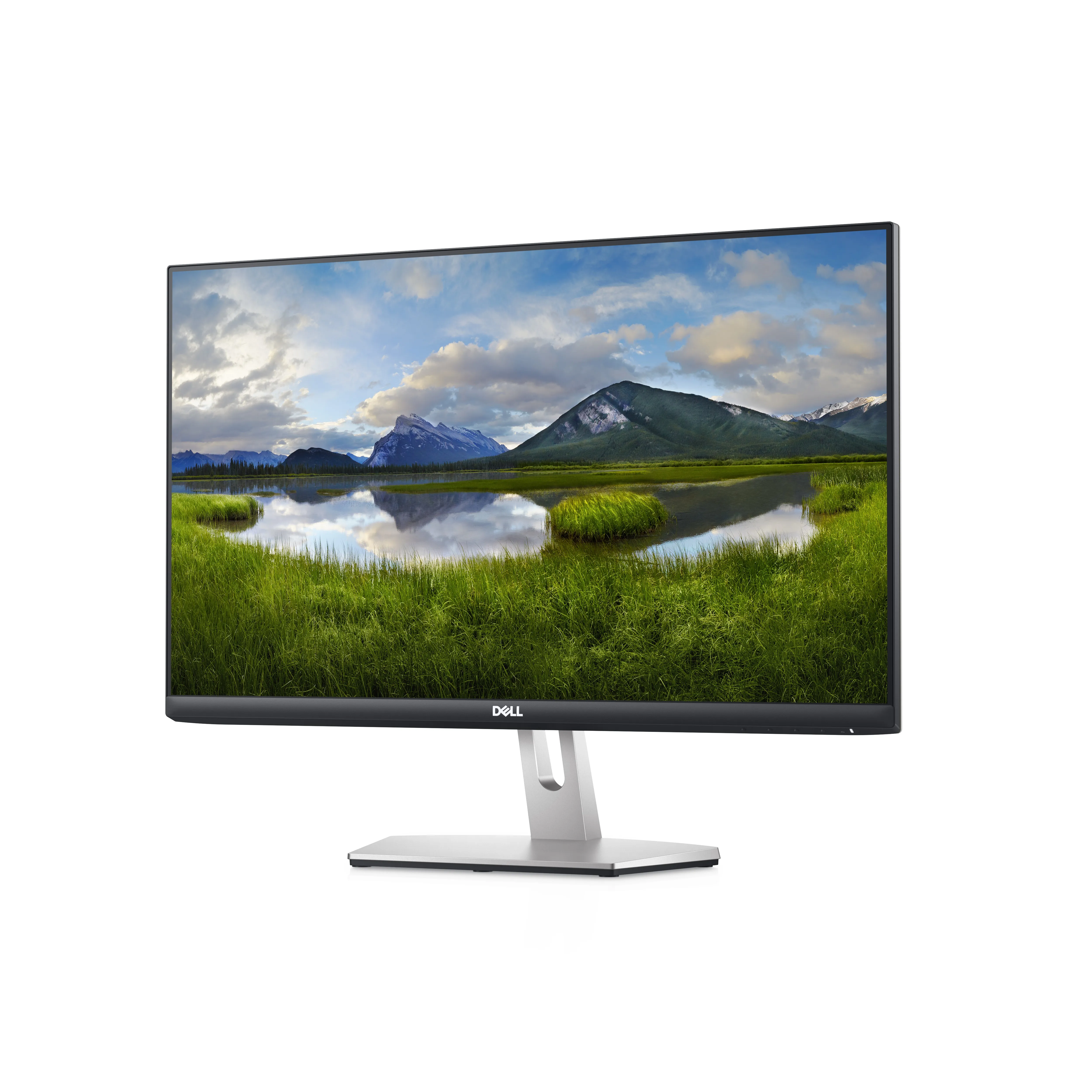 Dell S2421HN 23.8" Full HD, IPS Monitor