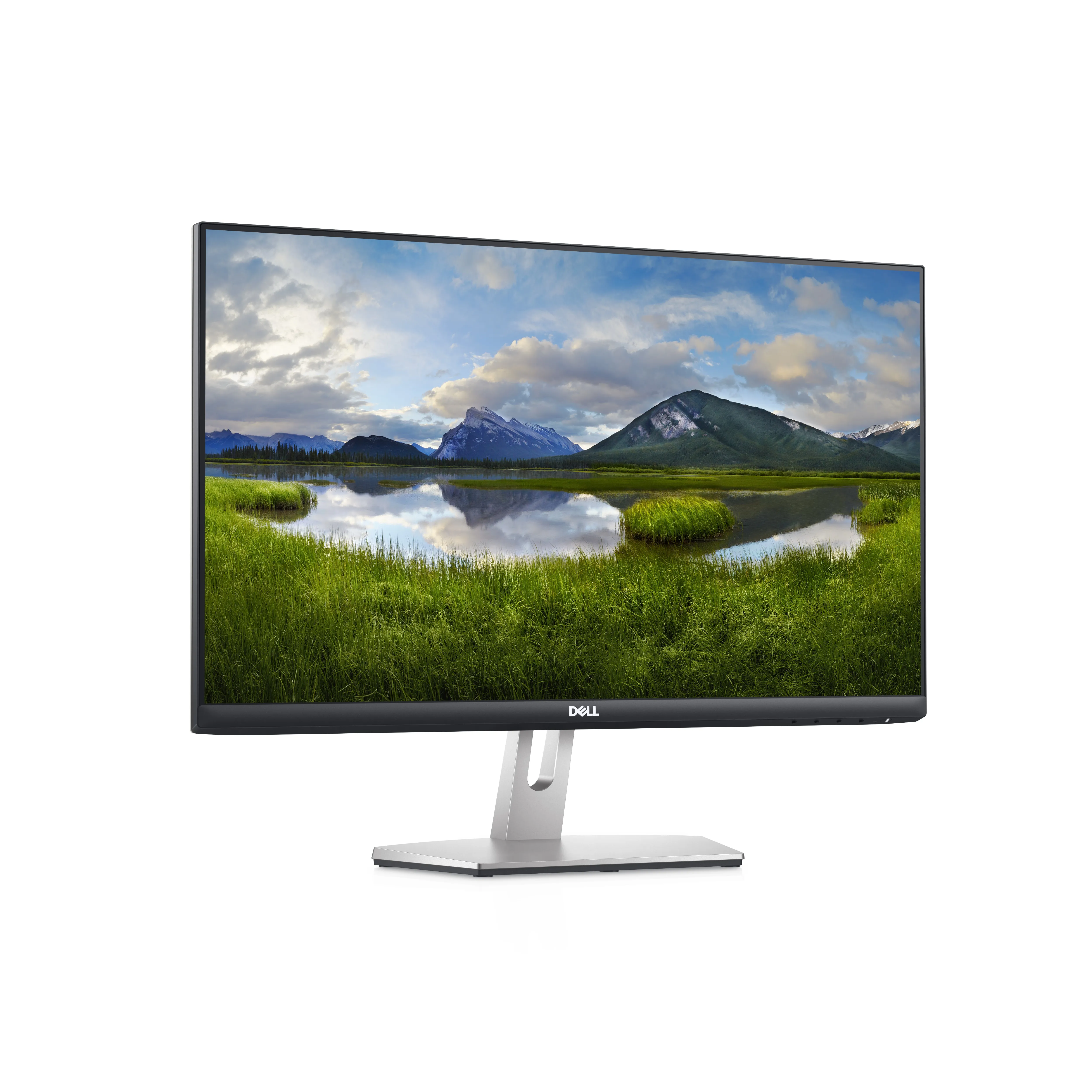 Dell S2421HN 23.8" Full HD, IPS Monitor